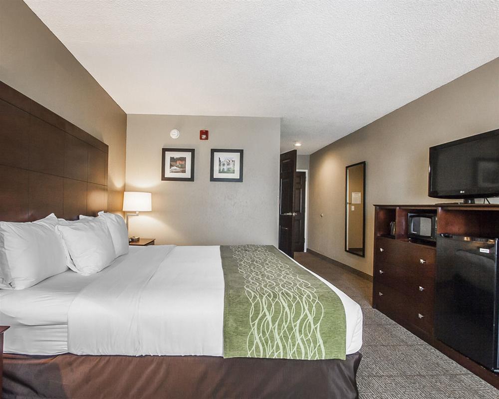 Comfort Inn US Hwy 80 Demopolis Eksteriør bilde